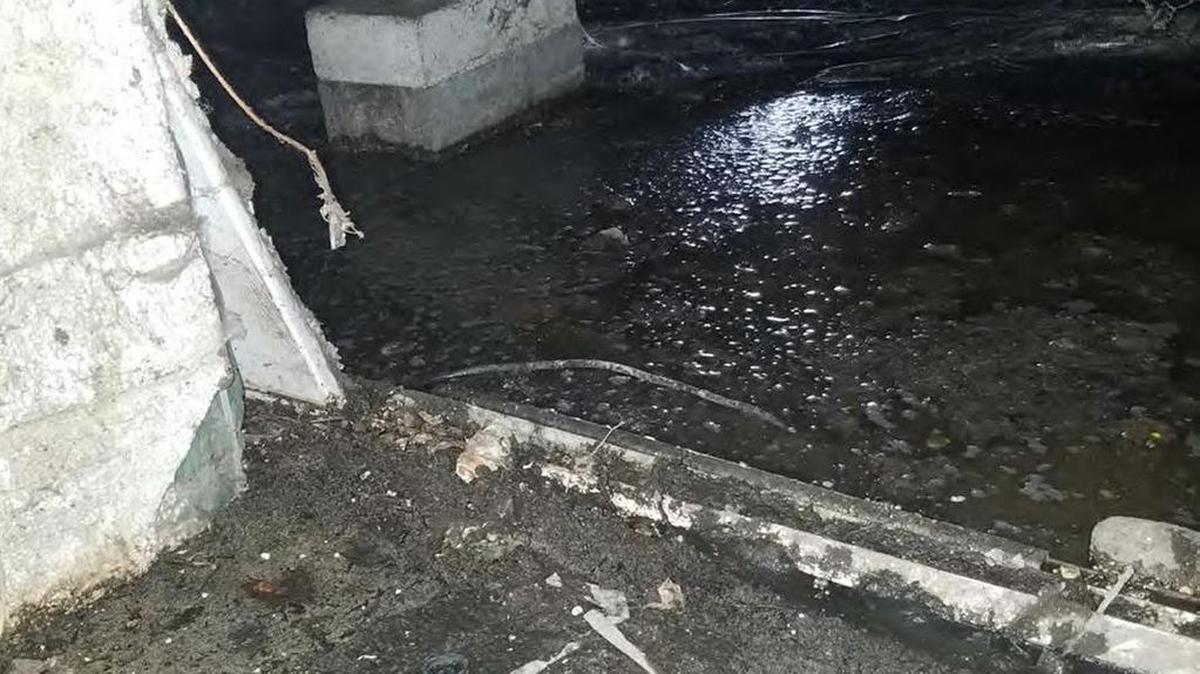 Debbie Brown and John Ray say in a federal lawsuit that their landlords, Randy Hoffer and Law Property Management, didn’t fix a sewer problem that caused the raw sewage to pool up under the Garden City trailer home where they lived.