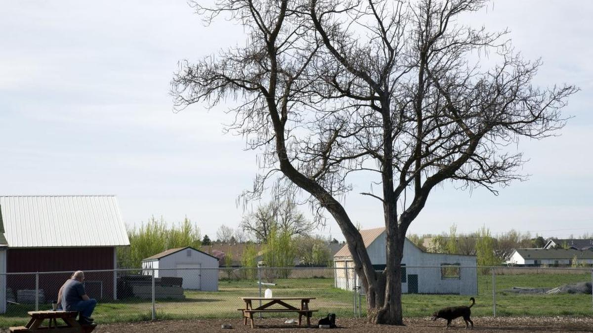 Sterling Park has a fenced area for dogs, but the city of Boise is preparing to plant grass and trees as a first step in developing it.