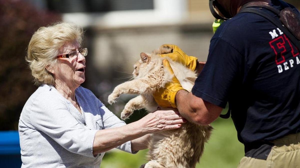 Meridian Fire Department Captain Luke Smiley (right) delivers a cat (named Little Girl) rescued from a three alarm house fire to homeowner Jolene Madison (left). Dispatchers received a call about the fire at 2:19 p.m., said Paul Roberts, a division chief for the Boise Fire Department. Boise firefighters were joined by crews from Meridian, Eagle and the Whitney Fire District. About 30 firefighters, along with Boise Police, responded to the scene. The three-alarm fire was brought under control within a half-hour. No one was injured, although one resident was treated for smoke inhalation, Roberts said. Wednesday June 1, 2016