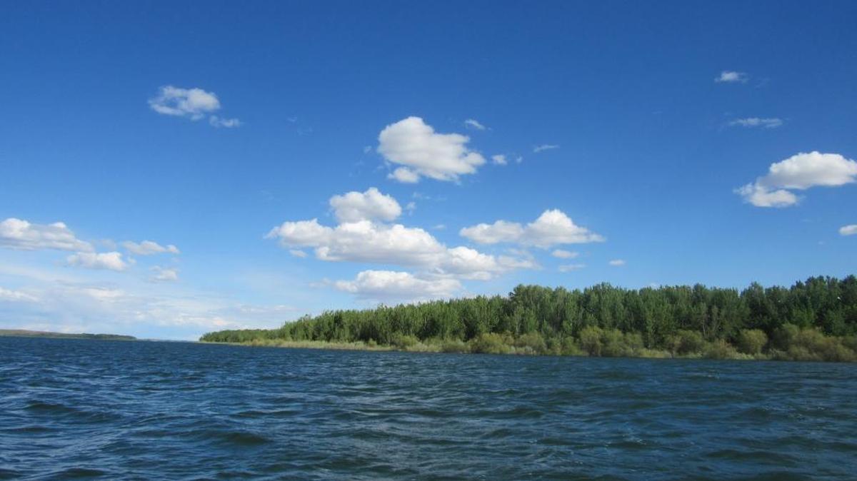 Lake Lowell in 2016.