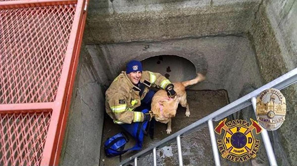 Ted Hardy poses with Zeta the dog in the irrigation drain where she was found Thursday.