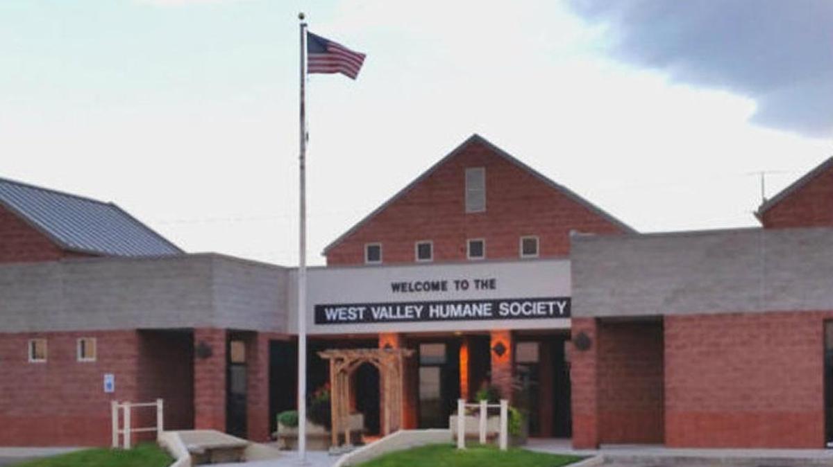 The West Valley Humane Society shelter in Caldwell was built as a bond-funded county facility but is now leased to the nonprofit group, which has an independent board.