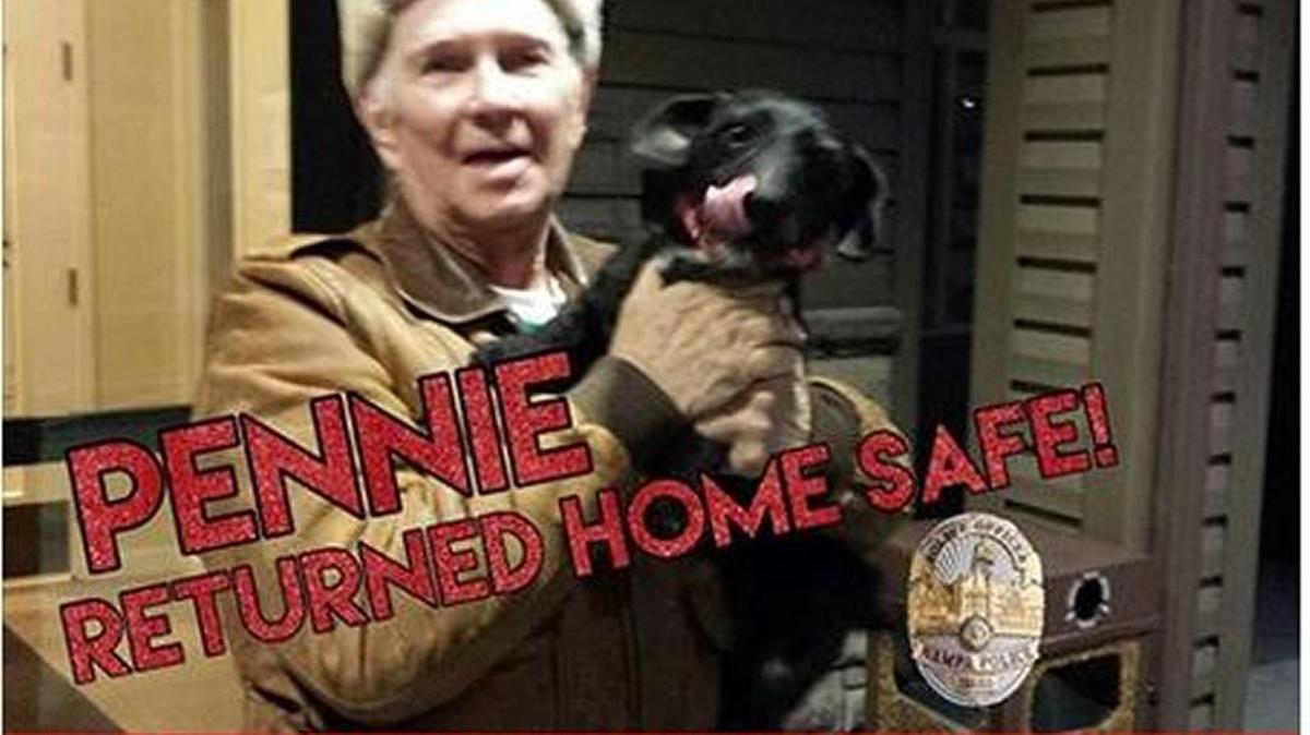 Pennie and her owner celebrate their reunion in this Nampa police post Monday evening.
