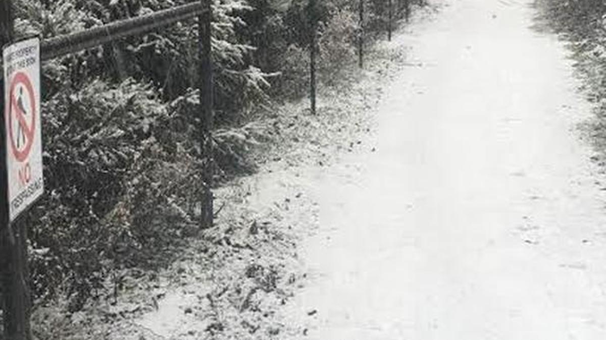The posts are still there, but the barbed wire is gone