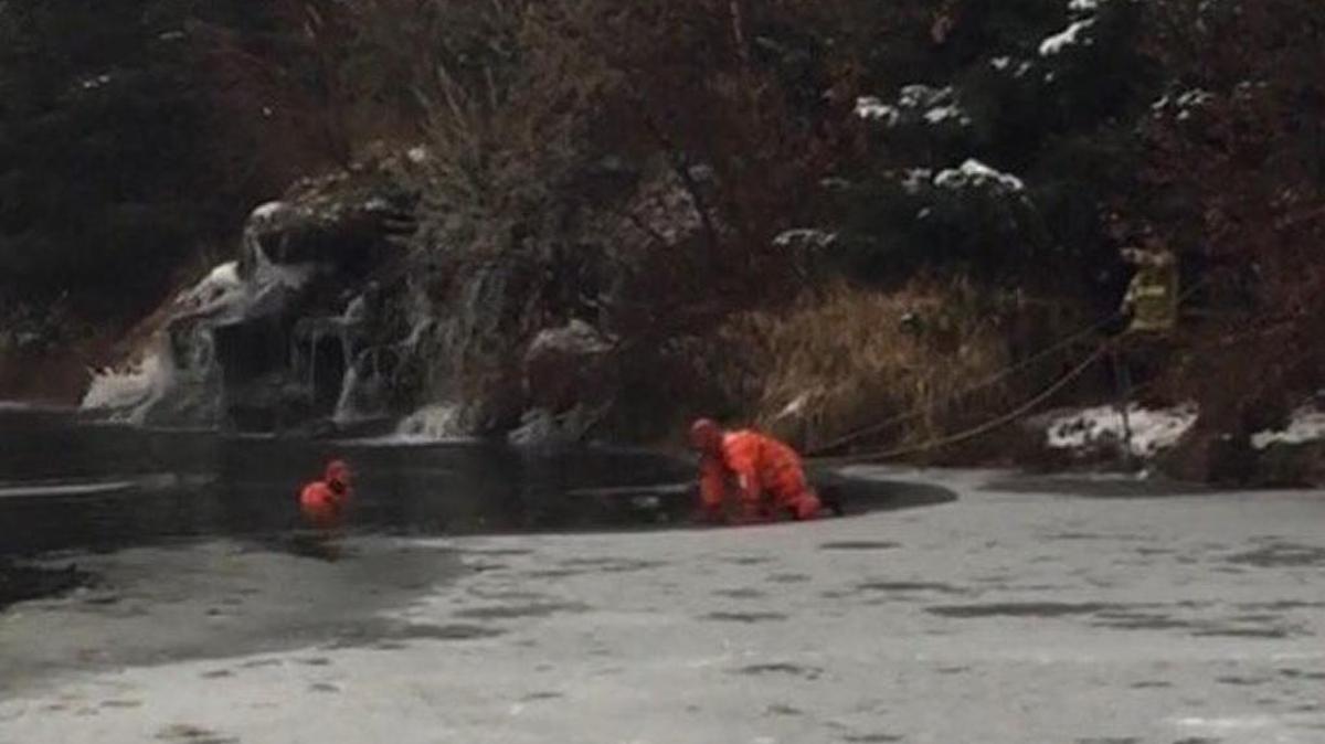 Eagle firefighters work to rescue two dogs that were trapped in an icy pond Tuesday afternoon. One survived.