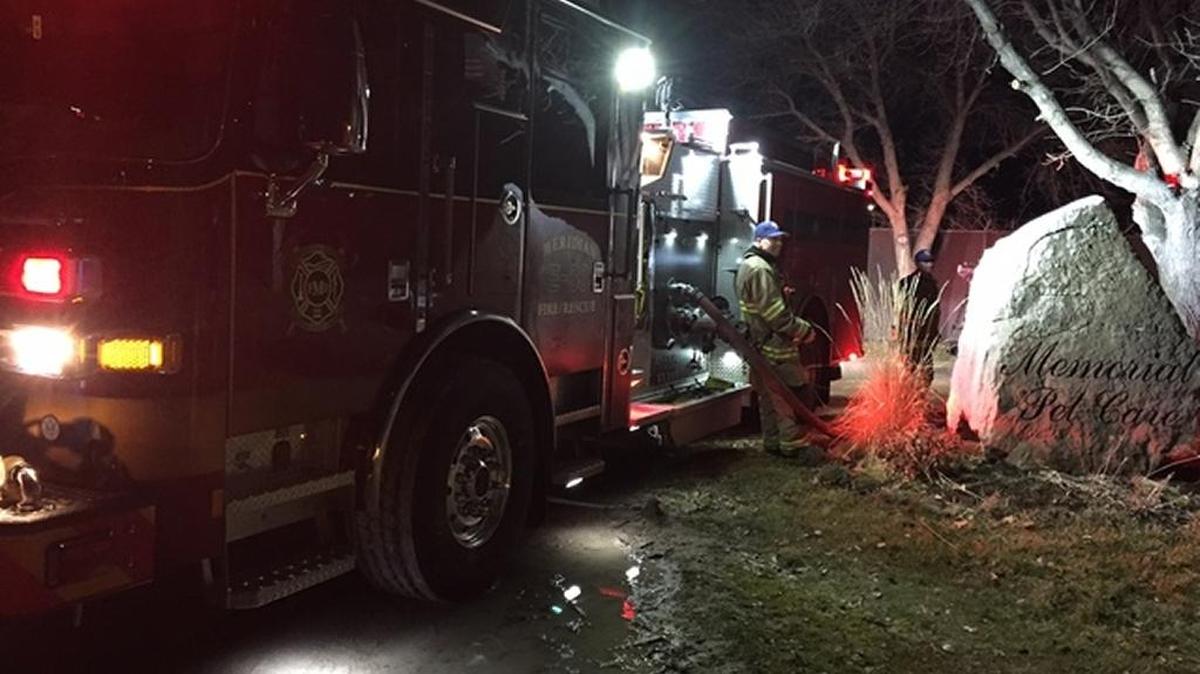 Meridian firefighters responded to a fire that destroyed Memorial Pet Care in Meridian.