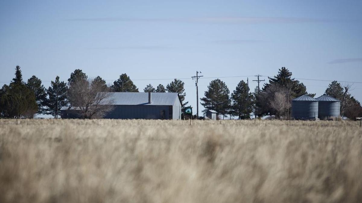 Bernard Saul and Roza Saul were ordered earlier this month to forfeit a home and 438 acres of farmland in Buhl that were bought with added profits Bernard Saul made selling conventional alfalfa seed as organic.