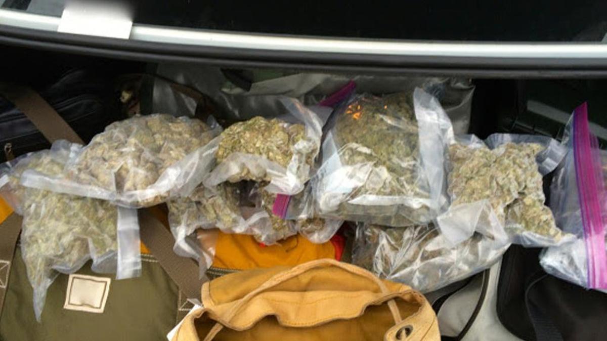 Sheriff’s investigators say they found this pot during a traffic stop Sunday.