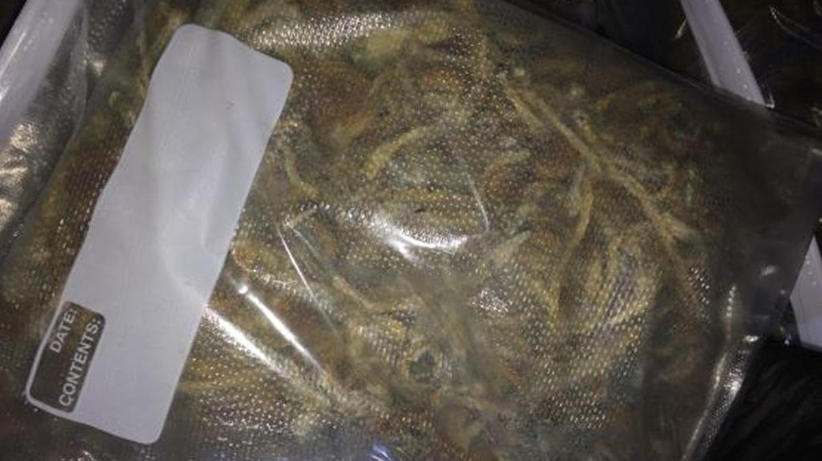 A large stash of drugs was found in the car of a Utah man pulled over for having a blown out headlight in Meridian.