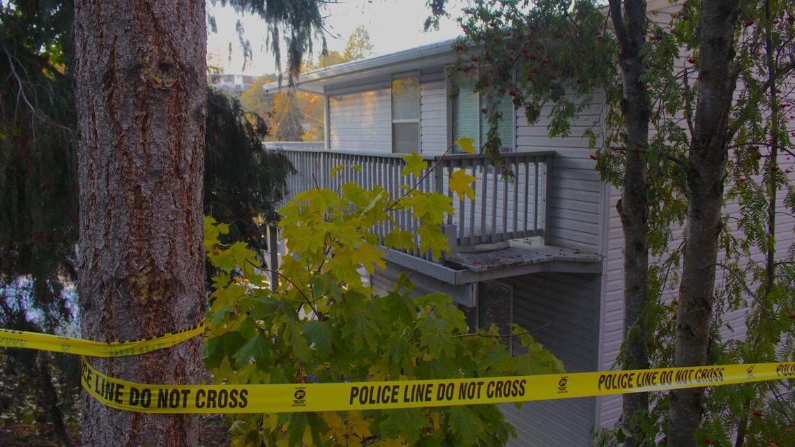 Watch: Sunday news conference: Police, University of Idaho student stabbings update