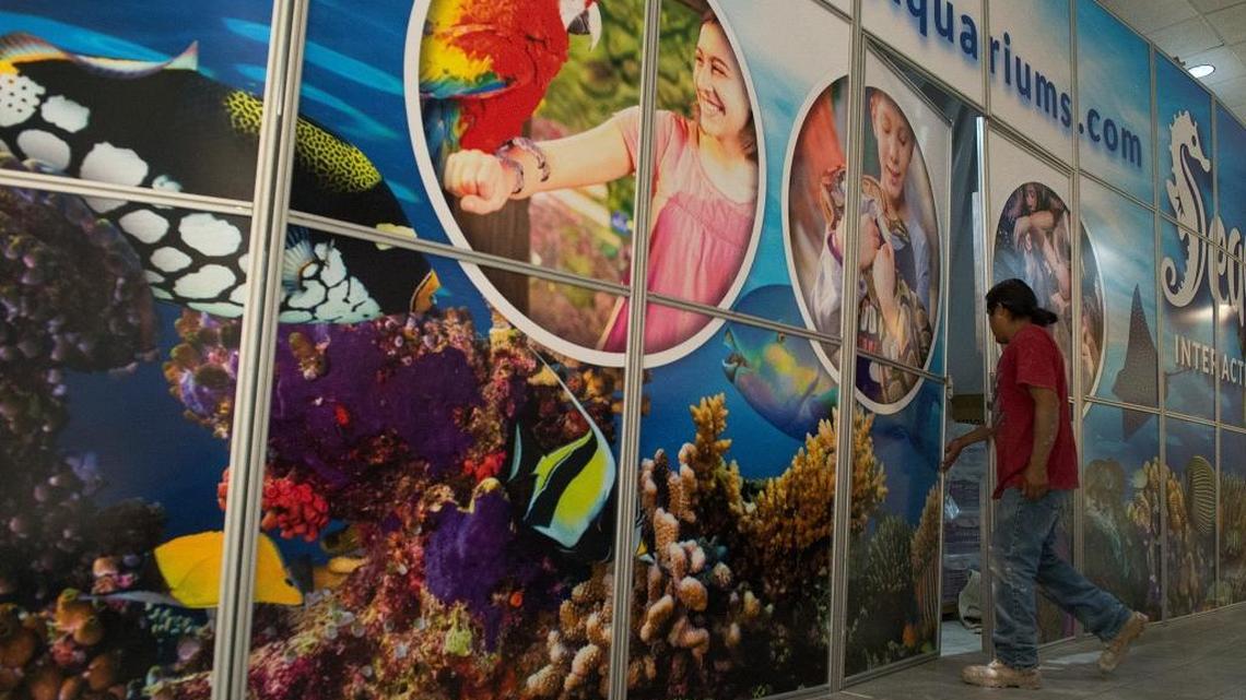 This is the SeaQuest Interactive Aquarium under construction last year in Layton, Utah, near Salt Lake City. This aquarium, which opened in November, is one of two SeaQuest aquariums that opened last year in Utah and Nevada, with a third planned this year in Texas.