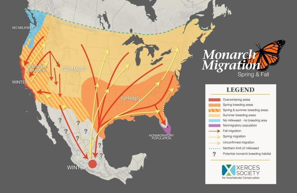 Map showing monarch migration in North America