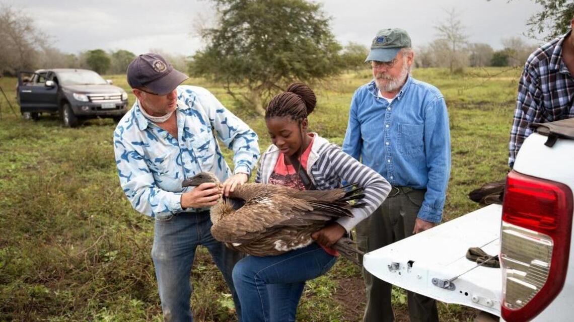 Partnership with Africa wildlife park provides new avenues for research