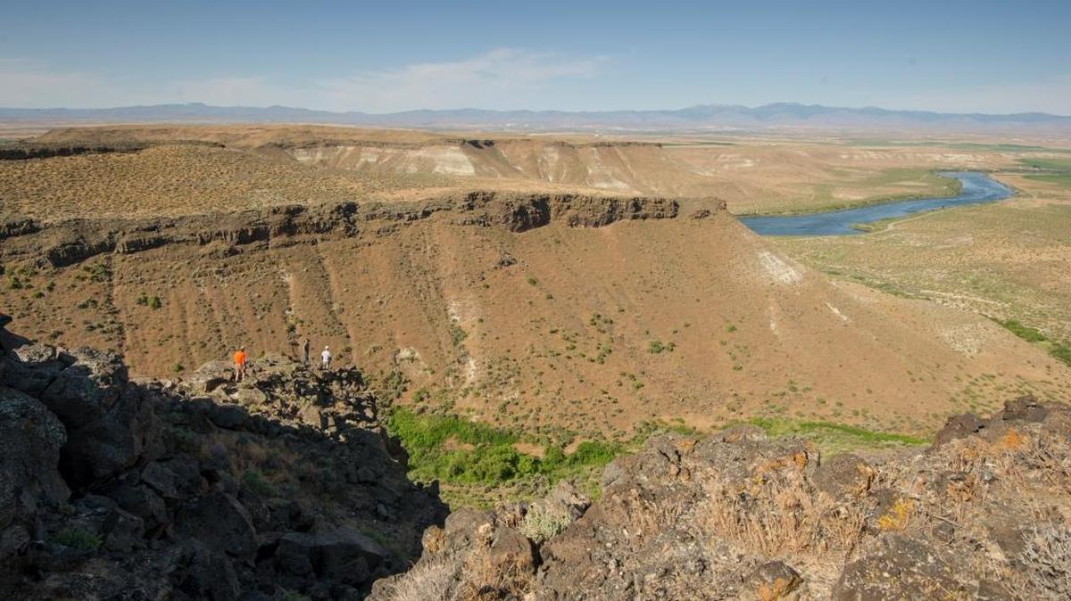 Boise State raptor biologist Marc Bechard (orange shirt, lower left), with graduate students and a U.S. Geological Survey team, attach radio transmitters to an eagle nestling above the Snake River plain.