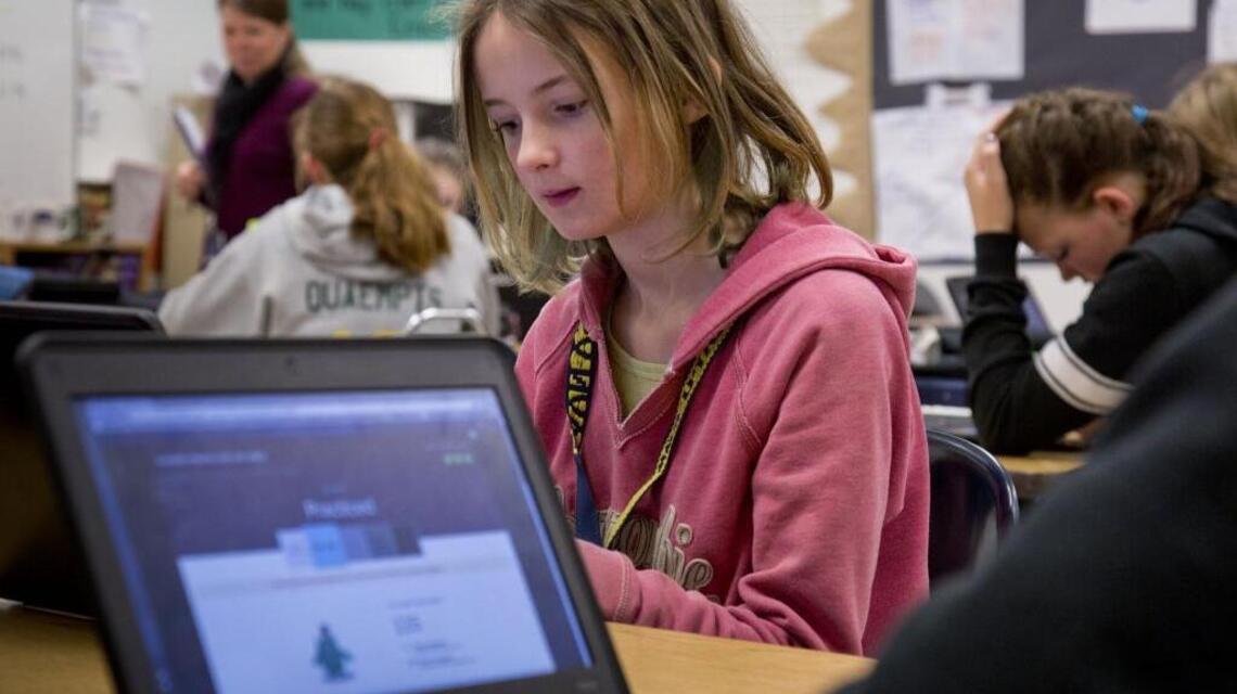 How to teach students online during the coronavirus | Idaho Statesman