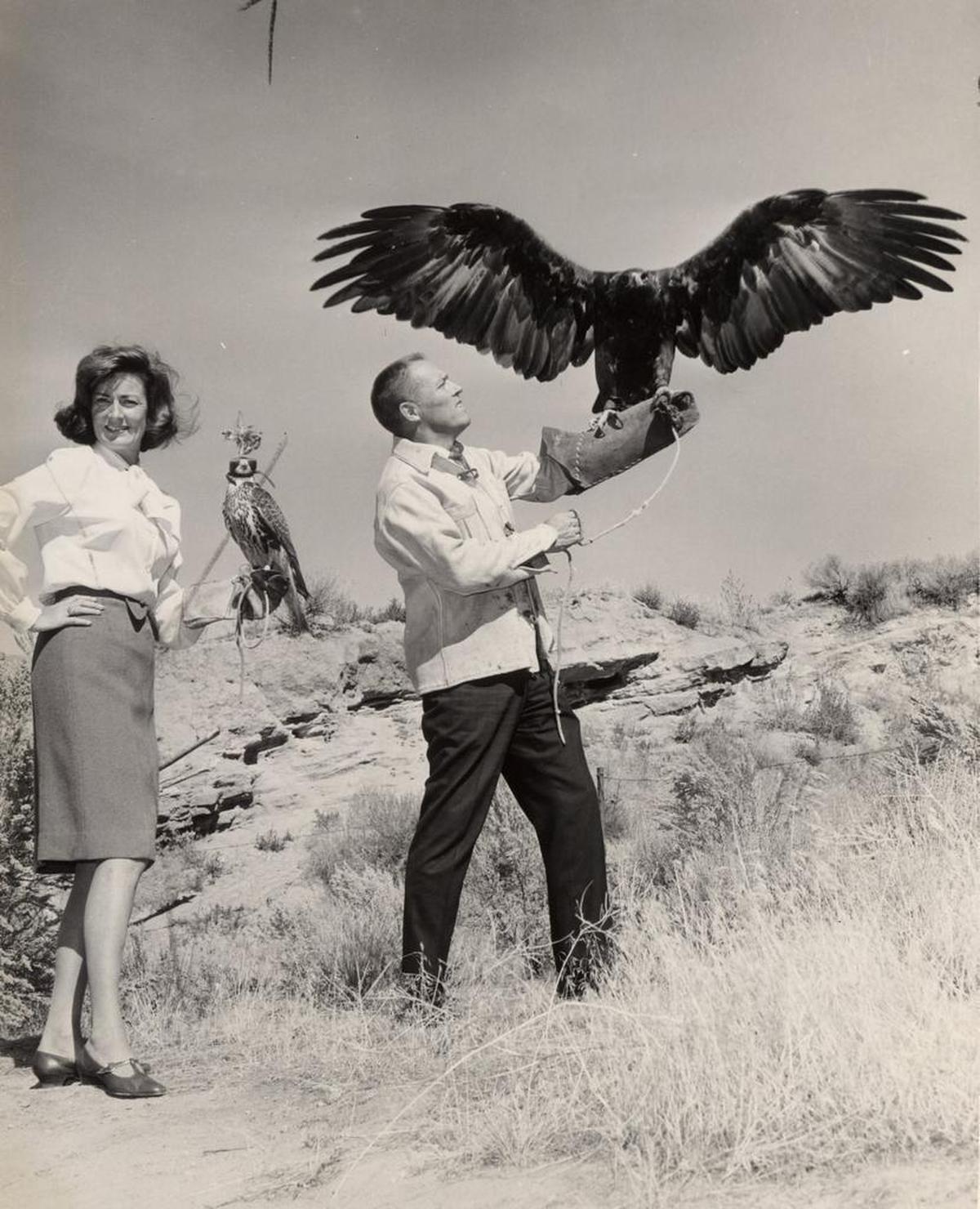 Master falconer Morley Nelson, holding his golden eagle Clyde, and his wife Betty Anne, holding a prairie falcon, came to Idaho in 1948.