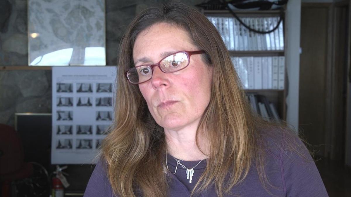 Deborah Giles, research director at the Center for Whale Research, is worried about what the next decade holds for the endangered southern resident killer whales. The mammals share the Puget Sound with millions of people and thousands of boats, but just a fraction of the salmon that historically have been its main food source.