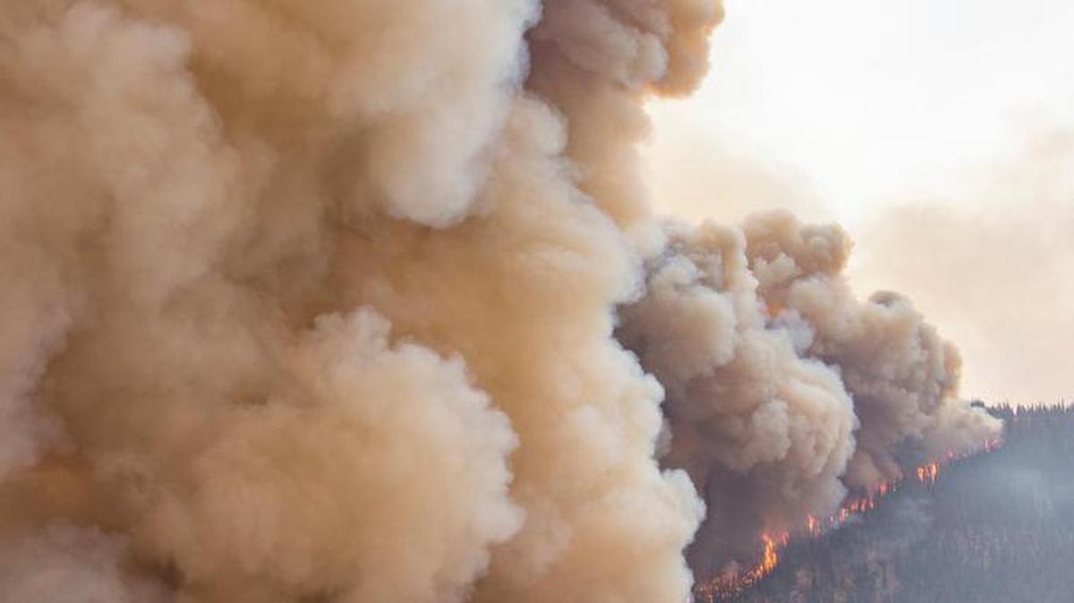 More than 1,000 people are working to contain the Pioneer Fire, burning near Lowman and Idaho City.