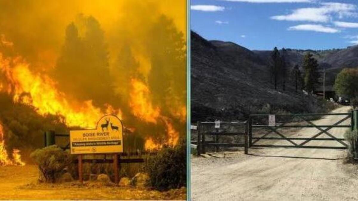 These photos from the Ada County Sheriff’s Office, left, and the Statesman show the Mile Marker 14 Fire raging around the Boise River Wildlife Management Office Tuesday, and the same view on Thursday.