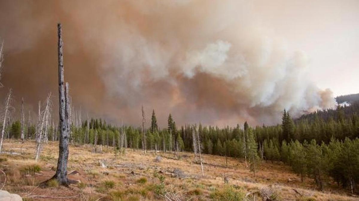 The Pioneer Fire burns toward a scarred area from a previous fire, in a photo provided by the U.S. Forest Service.