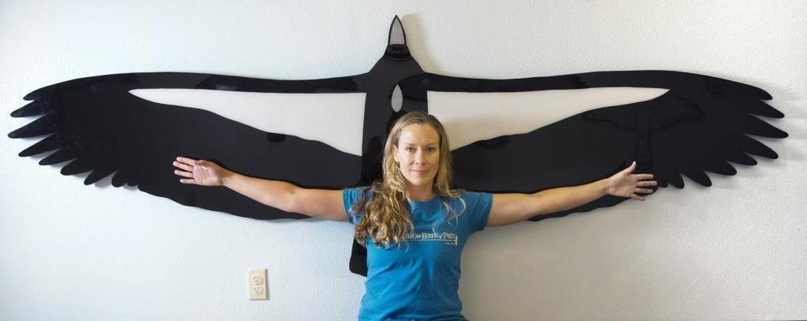 As manager of The Peregrine Fund’s condor propagation program, Marti Jenkins oversees the largest breeding center in the world, just south of Boise at the World Center for Birds of Prey. “They have been a partner of (humanity) on the landscape since we got here,” Jenkins says. “Their niche is to follow us, clean up the mess (from hunting) behind us. It is really interesting how tightly we’re linked — [humanity] and the condor.” As successful as the breeding program has been, however, the future of condors is still in question.