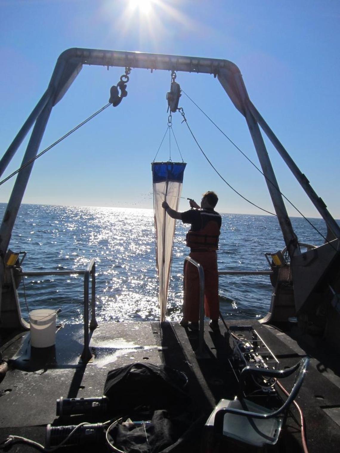 Researchers lift plankton nets from the Pacific Ocean off the coast of Oregon as they study the impacts of acidification and changing ocean currents.