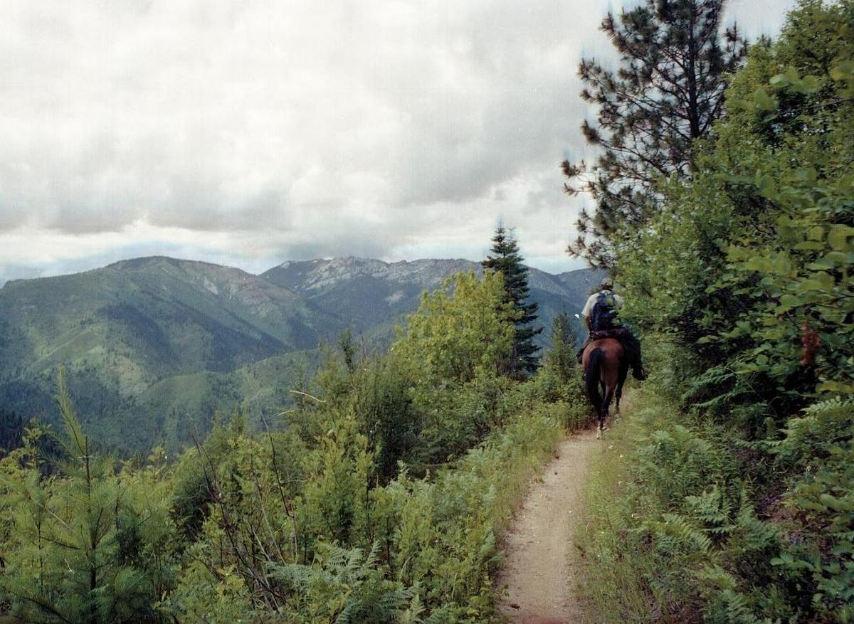 A rider makes his way up a trail in the Weitas-Bighorn roadless area in the Clearwater portion of the Nez Perce-Clearwater National Forest. Protecting large swaths of habitat like roadless and wilderness areas is seen as a key action that can help Idaho wildlife weather climate change.