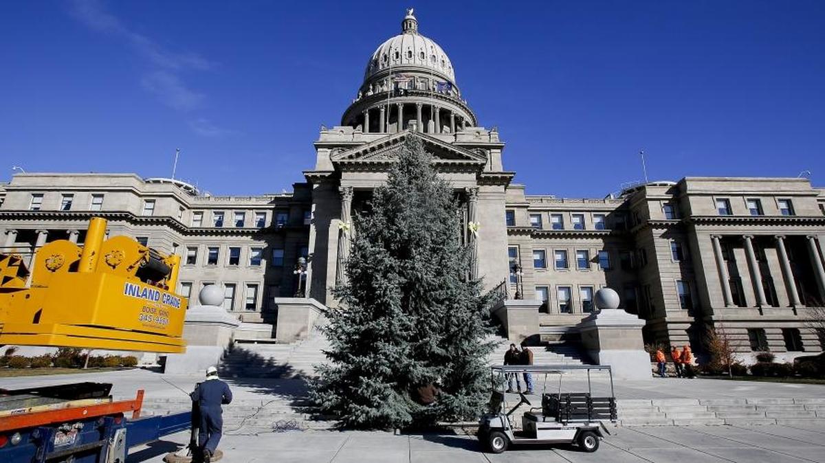 The official Idaho Capitol Christmas Tree was placed in the front of the Statehouse Monday, one week before the tree-lighting ceremony.