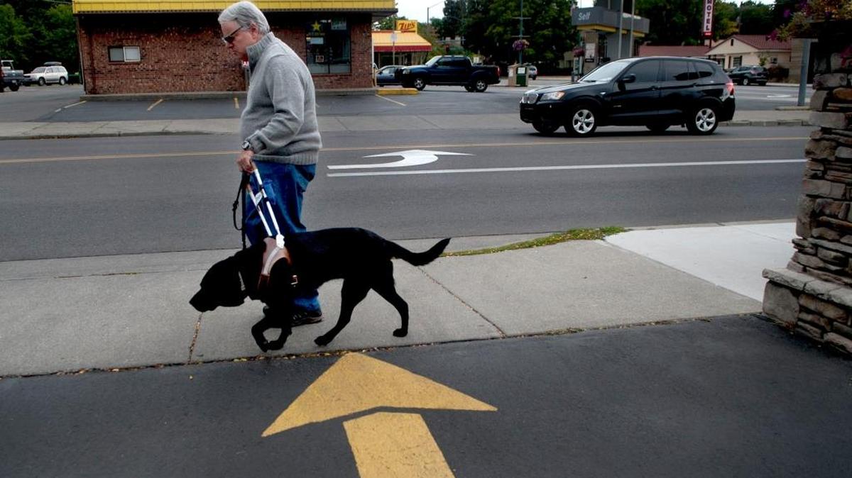 Carl Bessent and his guide dog Nerice in Coeur d’Alene. Carl is legally blind and is concerned about the growing problem of impostor or poorly trained service animals and the problems they create for legitimate service animals.