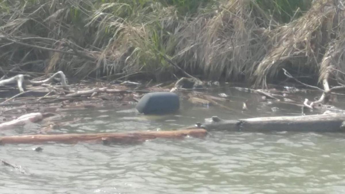This is believed to be the headrest from Jerry Coburn’s pickup. His family believes Coburn’s pickup crashed into the Payette River on May 7. He remained missing on Monday afternoon.