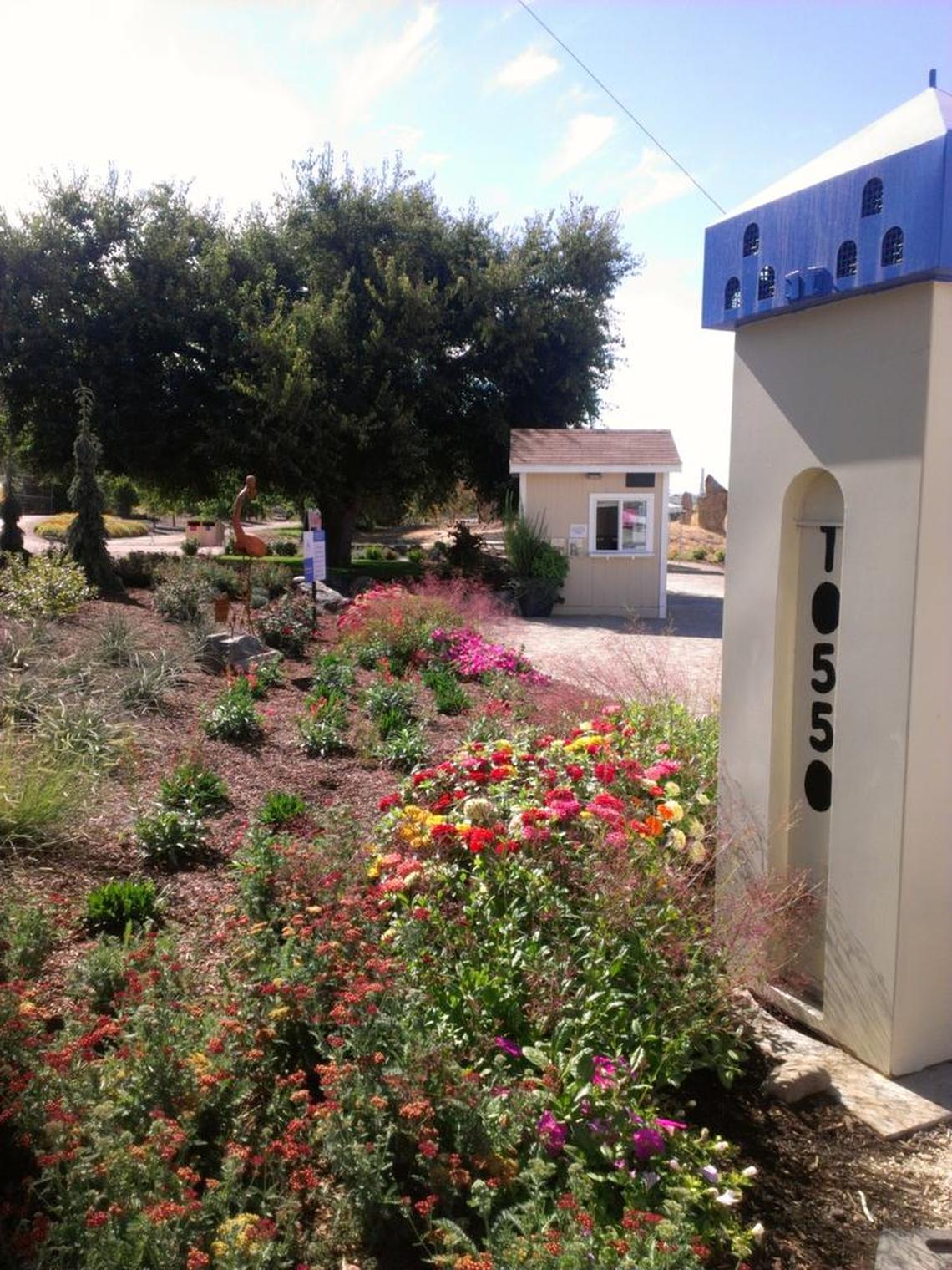 Idaho Botanical Garden’s new entry is planted with sun- and heat-friendly perennials, including nepeta, geum, agastache and annuals, including the always popular petunias and others.
