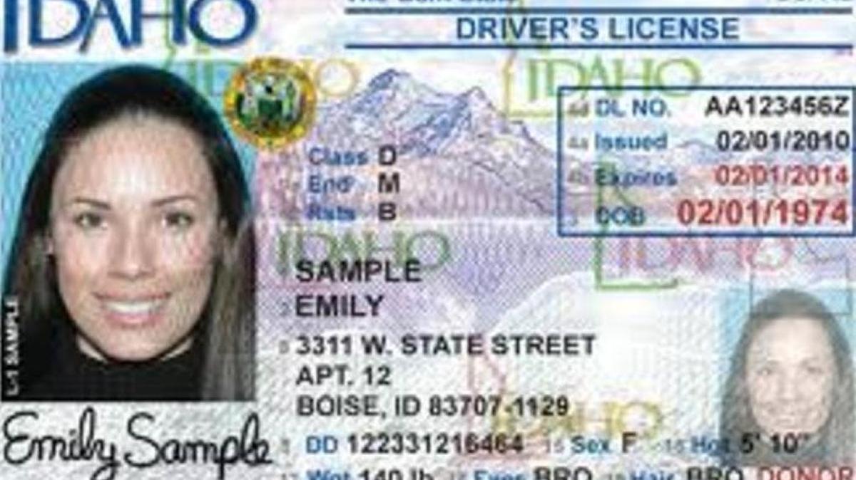 The driver’s licenses we know today are a far cry from what first existed: pieces of paper with no photographs and very little information.
