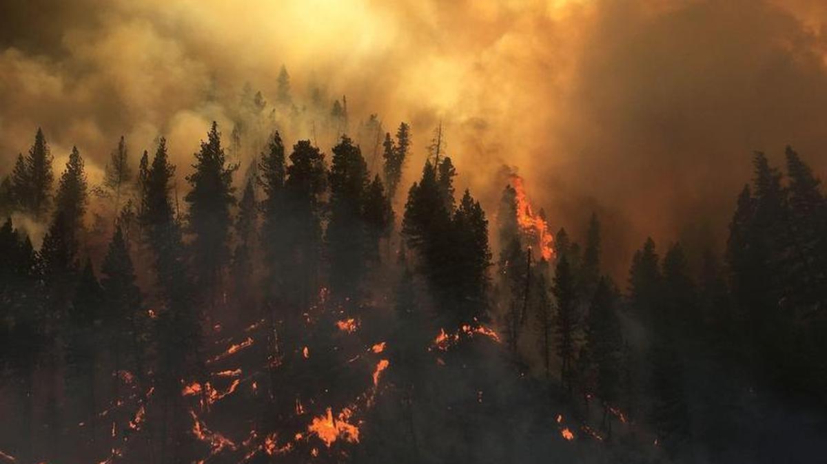 About 20 families in the Lowman area were encouraged to evacuate Tuesday as the fire continued to grow.