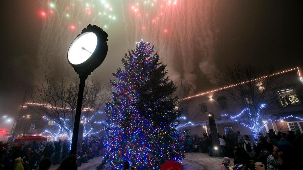 Donate your evergreen tree to become the center of the glorious spectacle that is the Meridian Christmas Tree Lighting Ceremony, which will be held Friday, Dec. 1, at Generations Plaza.