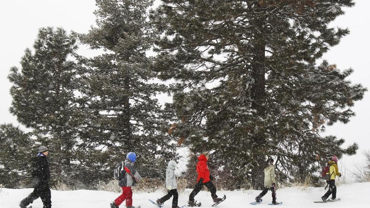 The SnowBall on Friday, Nov. 18, features an evening of dancing and bluegrass music to benefit the Bogus Basin SnowSchool.