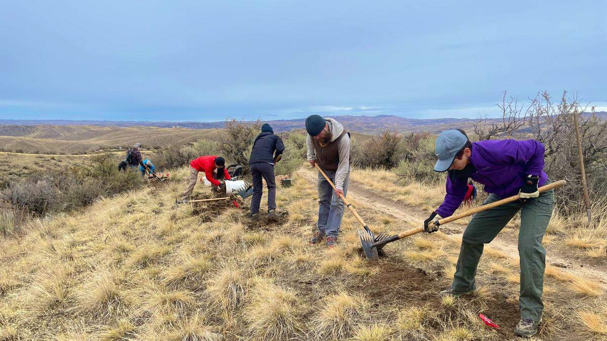 The Idaho Trails Association is in need of volunteers for several projects this summer.