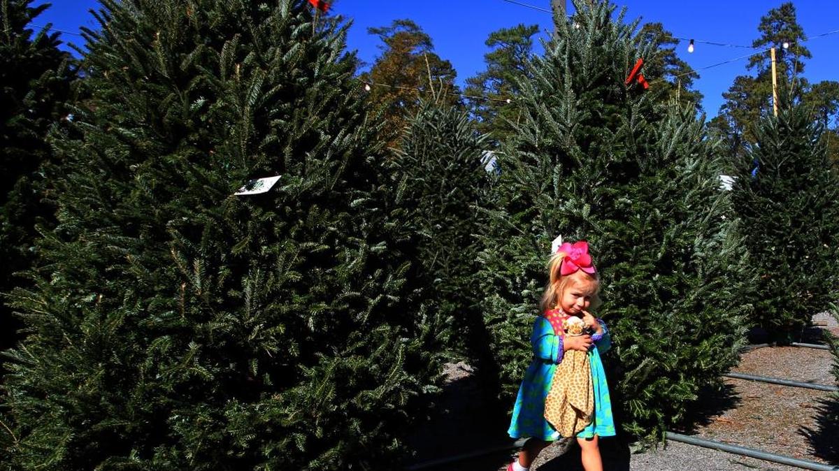 The Boise Vista Lions Club will be selling Christmas trees and wreaths at Memorial Stadium starting Nov. 25.