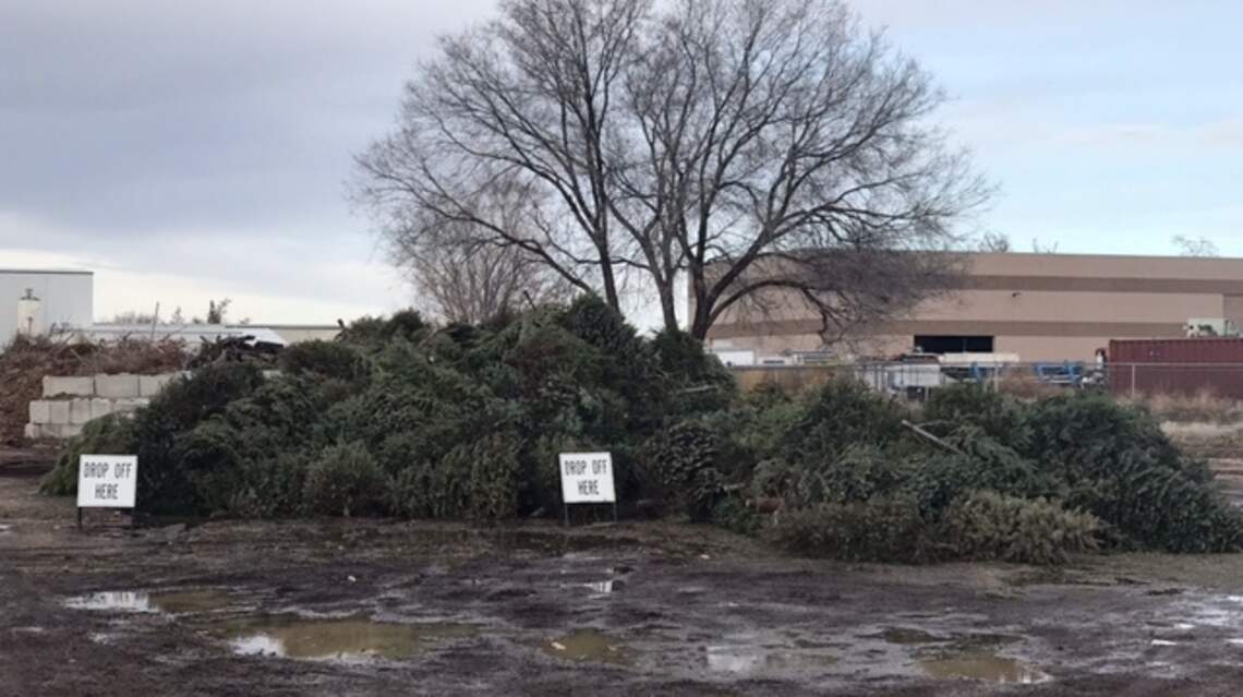 Still have that Christmas tree? Recycle it to give it a second life in Nampa parks