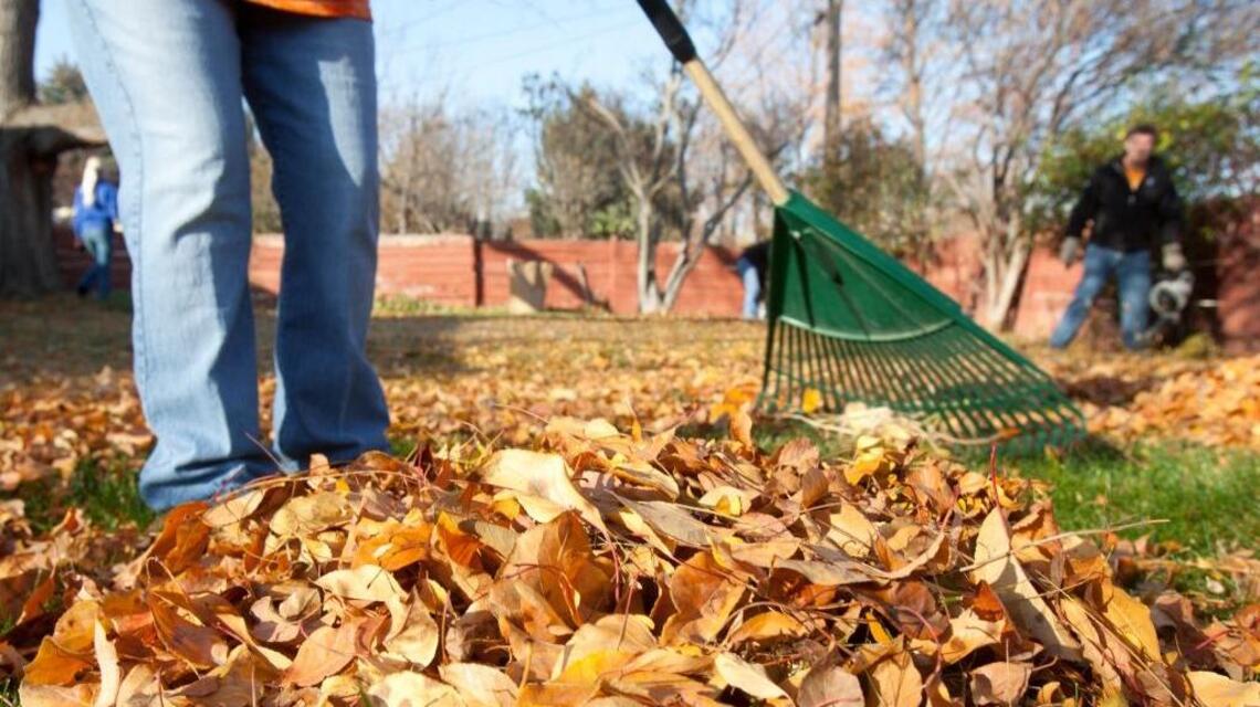 Volunteer to spruce up an Idaho yard for someone who can’t during annual Rake-Up Nampa