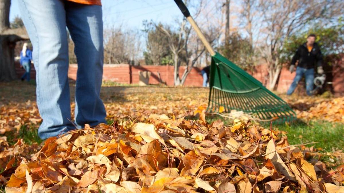 It’s leaf-raking season! Help your neighbors in need by volunteering to rake. Rake-up events take place in Nampa Nov. 5 and in Boise Nov. 12. Sign up now.
