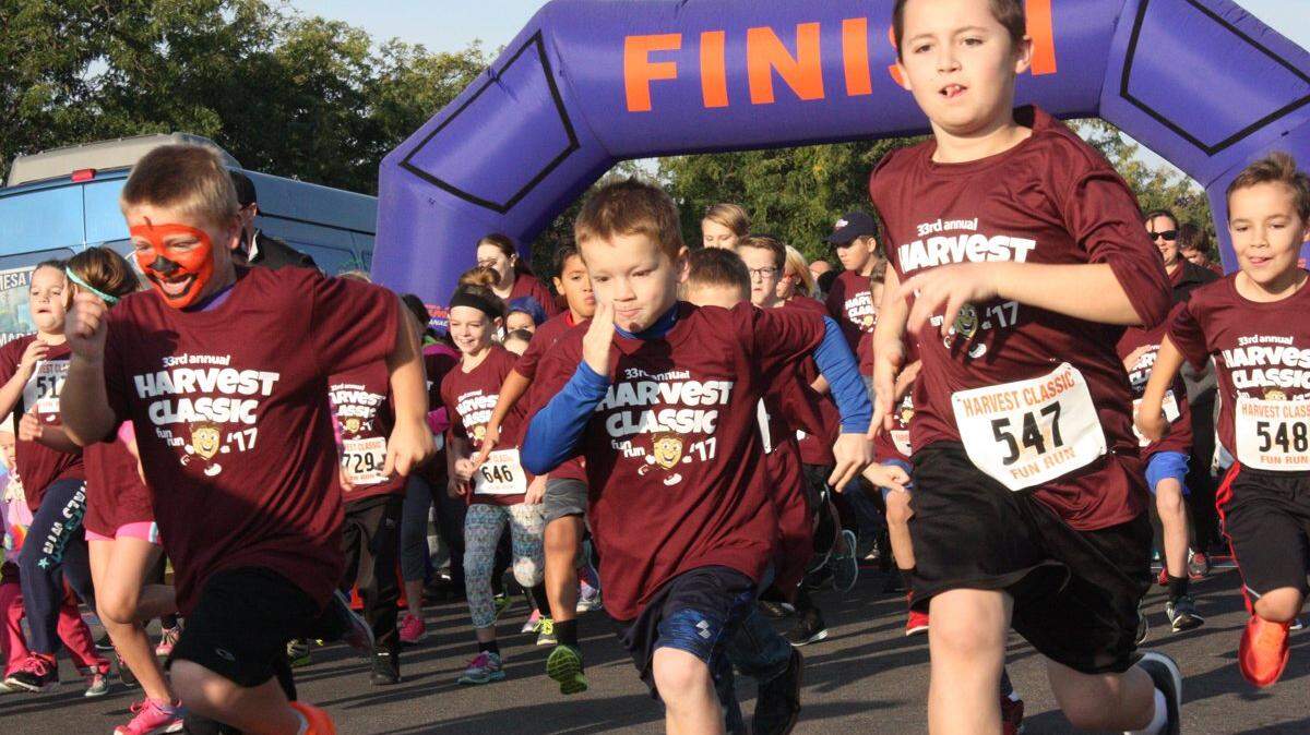 The Harvest Classic on Sept. 18 offers something for everyone - from the professional runner looking for a fast course to families interested in a fun outdoor activity.