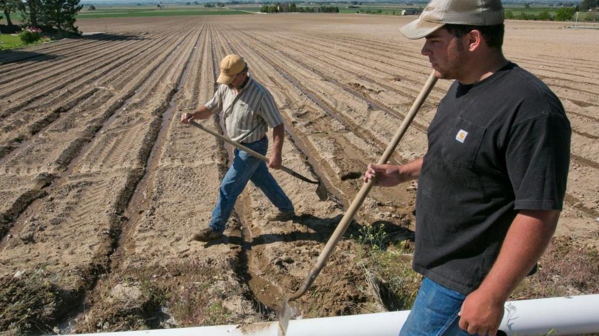 Sid Freeman, and his son Wes Freeman, right, fix an irrigation line at a portion of land on their farm near Caldwell.