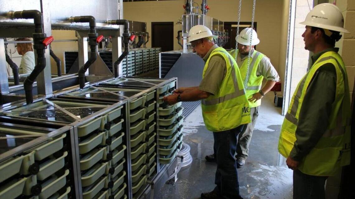 The public paid $14 million for an Idaho hatchery — and all its fish have been dying