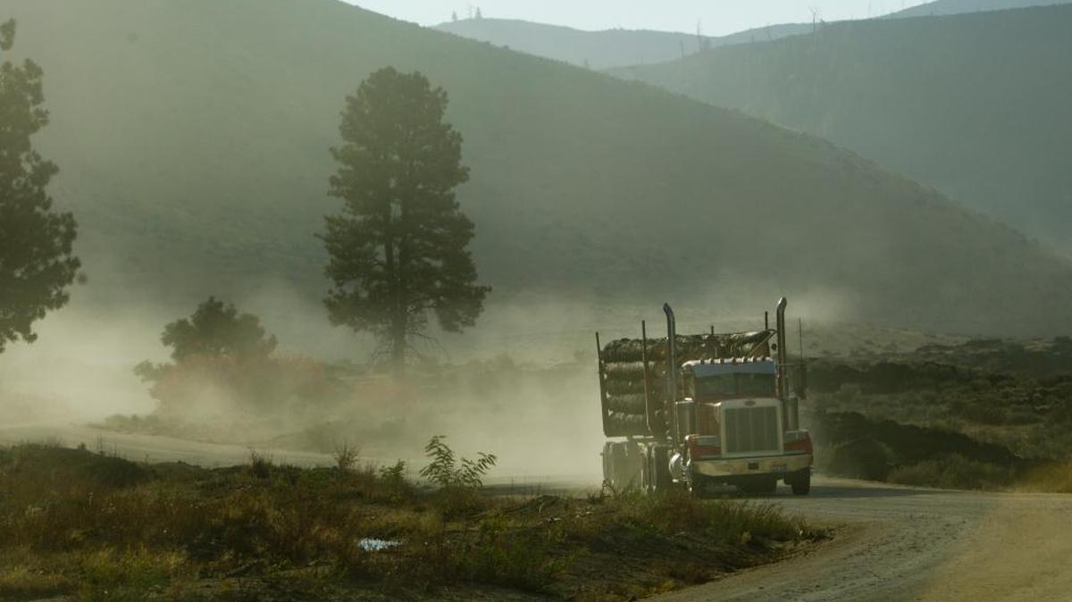 A log truck bring timber out of the woods in Elmore County near Prairie. The drop in timber harvest prompted Congress to start funding program for counties that had been getting more finding from timber receipts that are now largely gone.