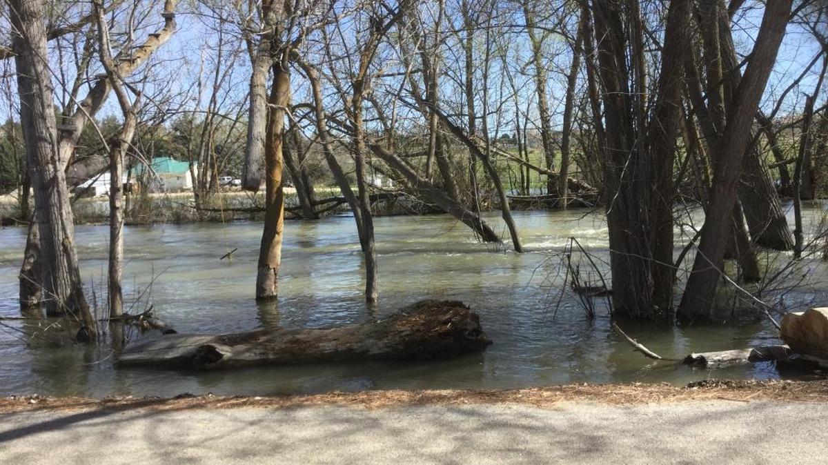 Flood waters on the Boise River reach up to the edge of Artesian Road on Eagle Island Monday.