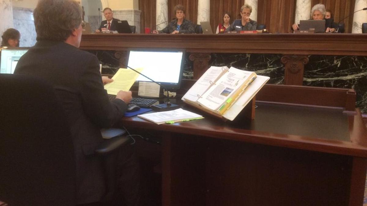 Ray Houston, Principal Budget & Policy Analyst speaks about Clagstone Meadows Wednesday before the Joint Appropriations and Finance Committee.