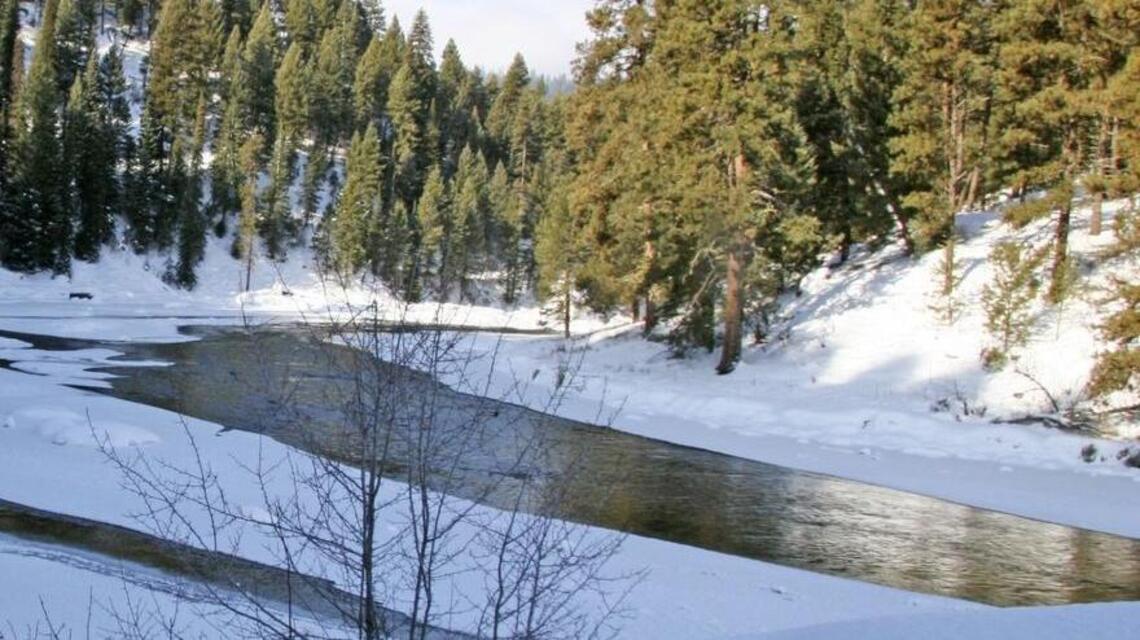 Texas billionaires put 54,000 acres of Idaho land up for sale