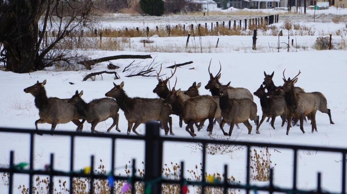Otter budgets money for hunting, fishing license increase, but will let others sell plan