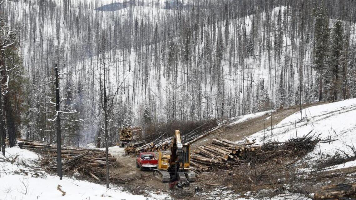 Loggers, enviros partner on Idaho forest projects. Their main obstacle is now money