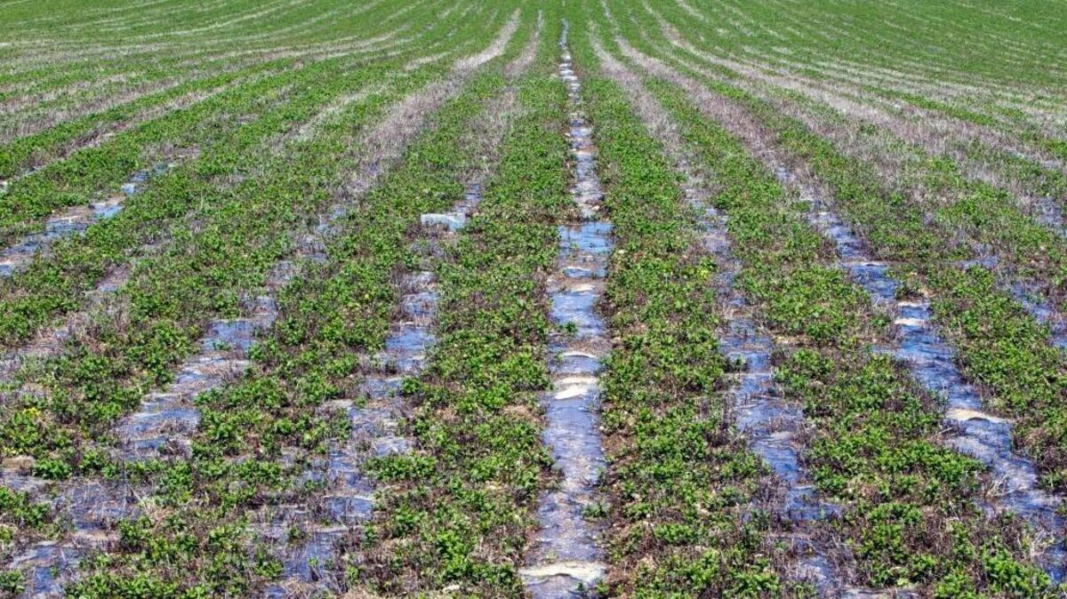 A unique settlement approved by the Idaho Department of Water Resources this week has turned the water back on in Blaine County, in south central Idaho.